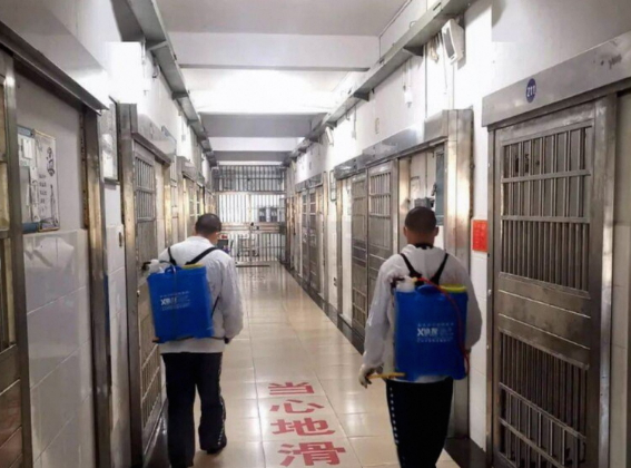 郑州某监狱病媒生物防制专项